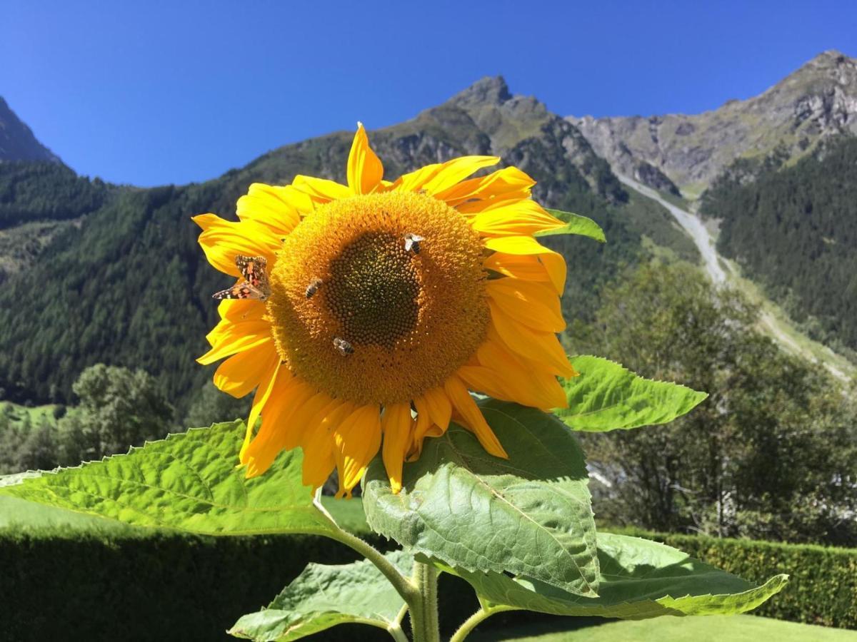 Hotel Haus Sonnwend Sölden Exteriér fotografie